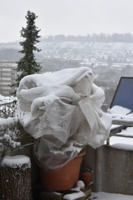Wintereinbruch 2.4.22 001.JPG
