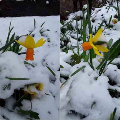 NimSchnee.jpg