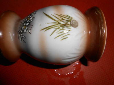 DSCN3902.JPG