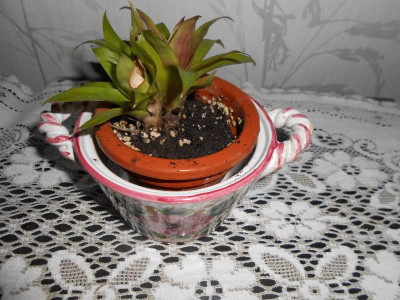 DSCN3910.JPG