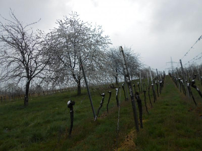 DSCN3882.JPG