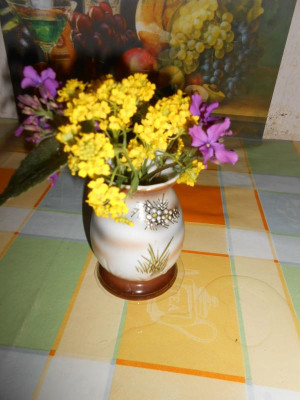DSCN3899.JPG