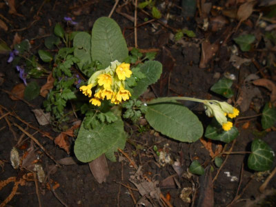 DSCN3856.JPG