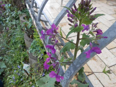 DSCN3879.JPG