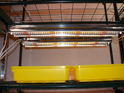 220406_T5-LED_montiert.jpg