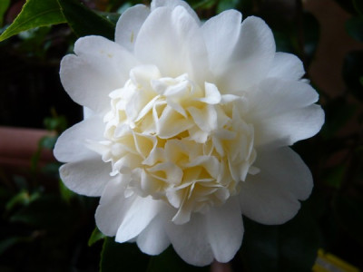 P1000138.JPG