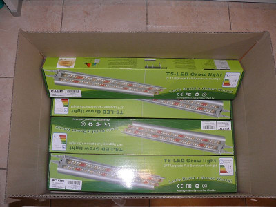 220408_neue LED-T5-Lampen.jpg