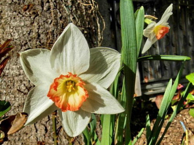 DSCN6483-1_Bildgroe_andern.jpg