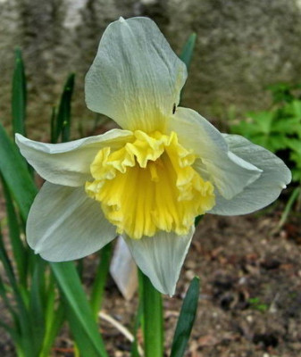 DSCN6503-1.jpg