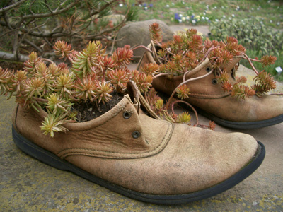 foerster_schuhe.jpg