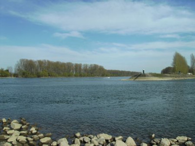 Sonntag_am_Rhein.jpg