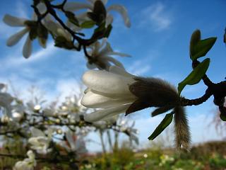 IMG_5587.JPG