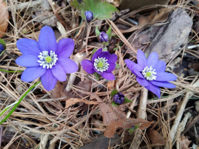 20220413_171909.jpg