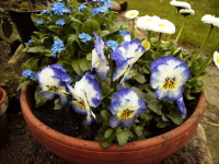 PICT0026.JPG