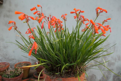 P1000671.JPG