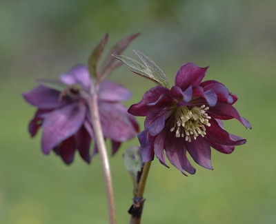 DSC_4803_DxO.jpg