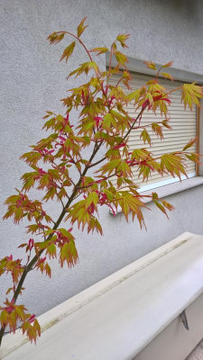 WP_20220408_17_27_15_Pro.jpg