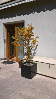 WP_20220414_12_45_14_Pro.jpg