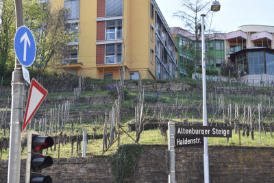 Cannstatt 008.JPG