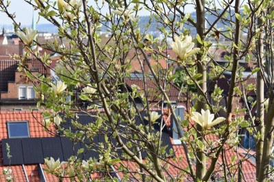 Cannstatt 004.JPG