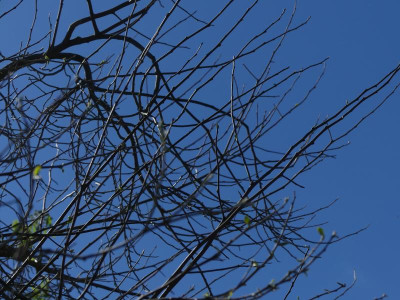 P1100552.JPG