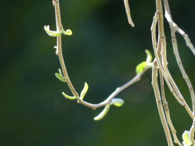 P1100551.JPG