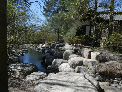P1140753.JPG
