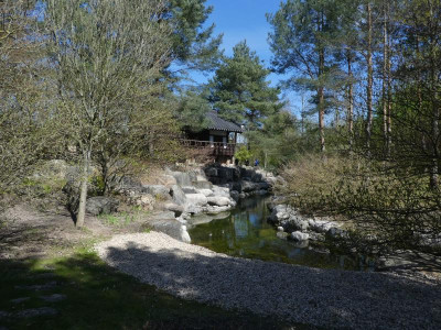 P1140756.JPG