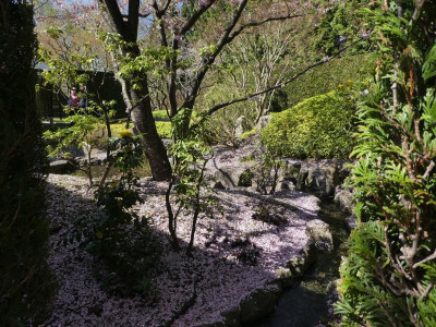 P1140760.JPG