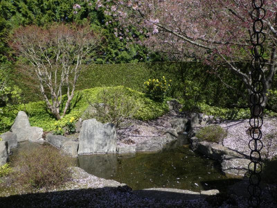 P1140762.JPG