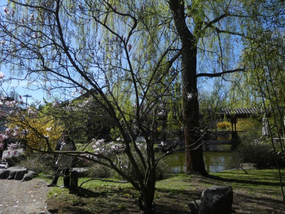 P1140769.JPG
