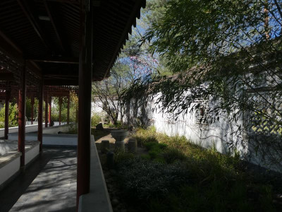 P1140770.JPG