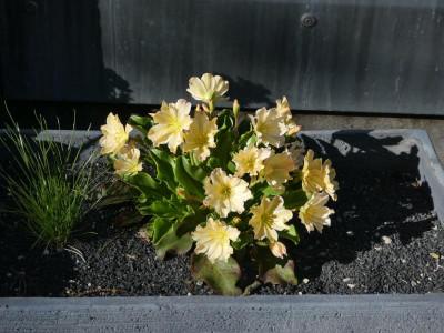 P1140829.JPG