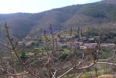 DSCN7355_lovranska_draga__kl.jpg