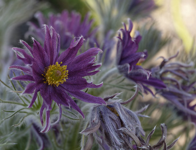 DSC_4845_DxO.jpg