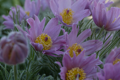 DSC_4846_DxO.jpg