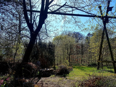 20220416_192506.jpg