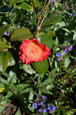 DSC_3891.JPG