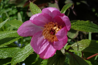 DSCF6367.JPG