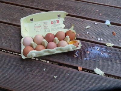 eier.JPG