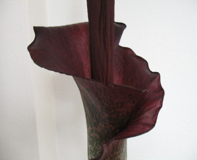 Amorphophallus_konjac.jpg