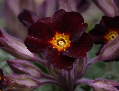DSC_4868_DxO-1.jpg