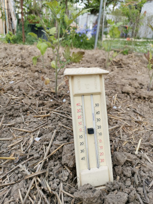 Thermometer.jpeg