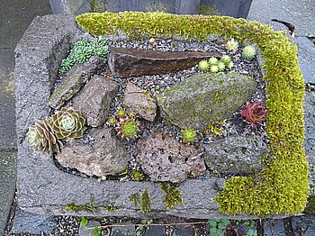 Ministeingarten_fars_2008.jpg