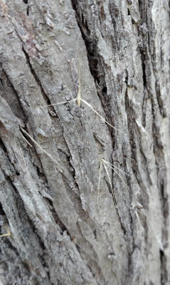 20220423_210515.jpg