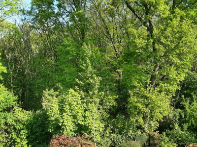 20220424_094244.jpg