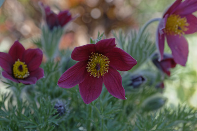 DSC_4888_DxO.jpg