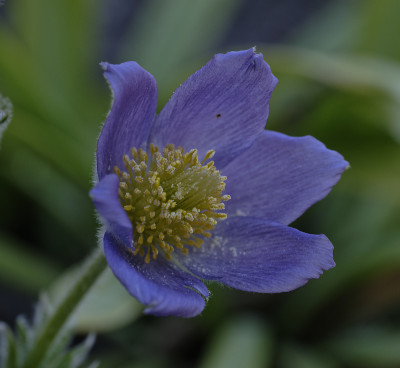 DSC_4887_DxO.jpg