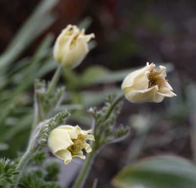 DSC_4879_DxO.jpg