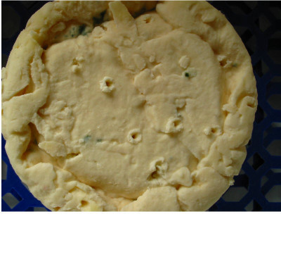 Kase_11_erster_Blauschimmel.jpg